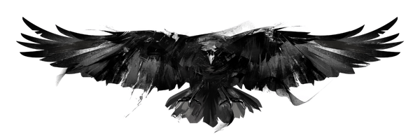 Raven Bird Raven Bird