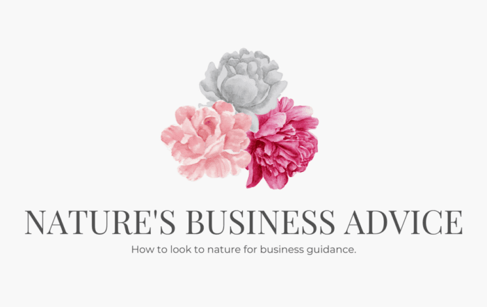 Nature-Business-Advice-Blog-Header